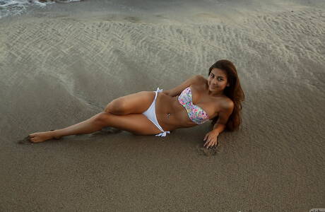 Zishy are proud to present you with a free pics featuring Nina North unveiling perfect form